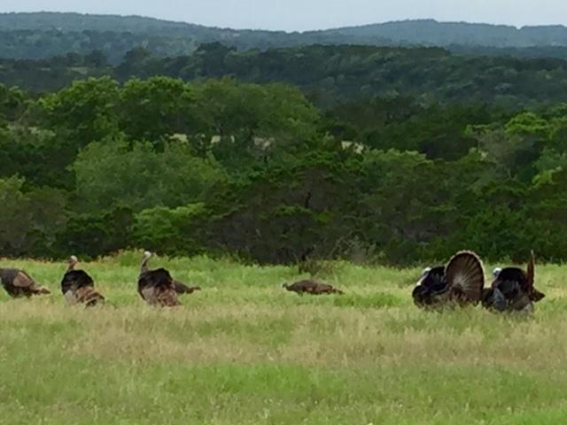 The Texas Hill Country Map